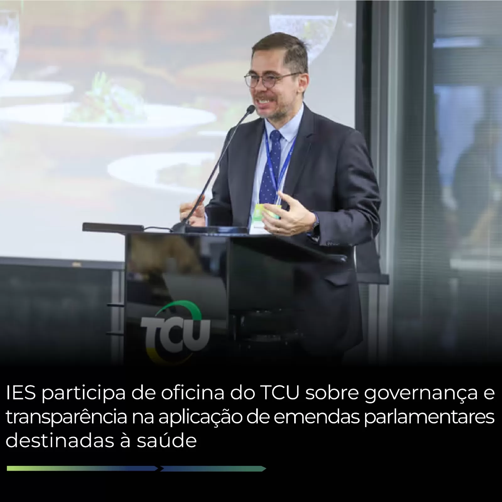 IES participa de oficina do TCU sobre governança e transparência na aplicação de emendas parlamentares destinadas à saúde